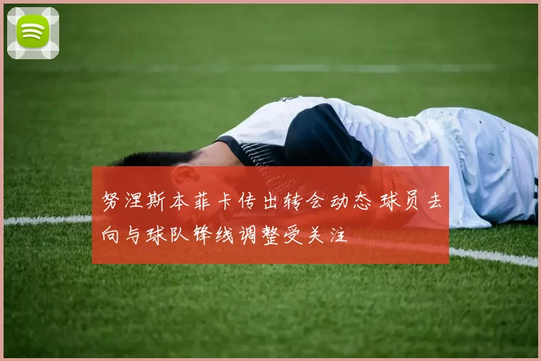 努涅斯本菲卡传出转会动态 球员去向与球队锋线调整受关注