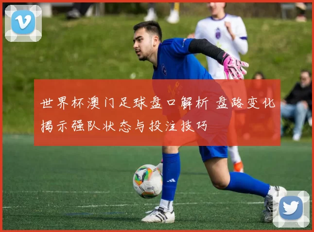 世界杯澳门足球盘口解析 盘路变化揭示强队状态与投注技巧