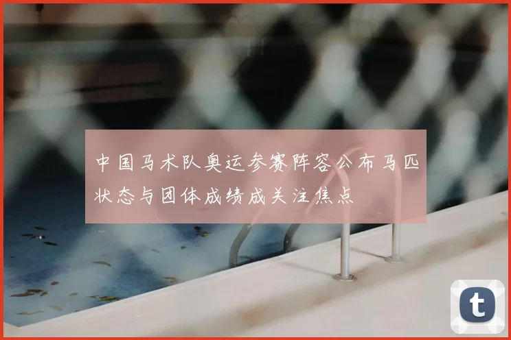 中国马术队奥运参赛阵容公布马匹状态与团体成绩成关注焦点